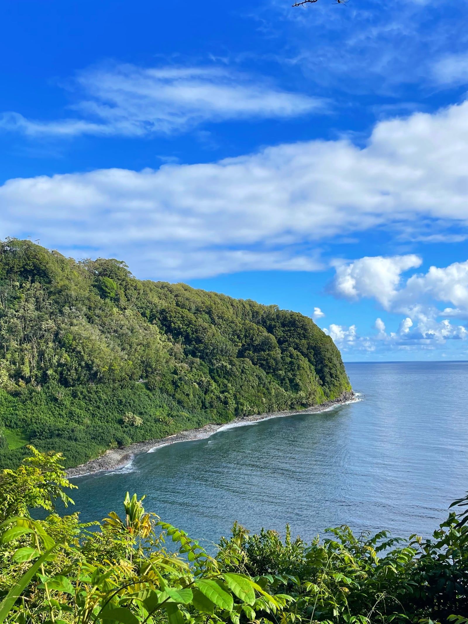 Vista de Road to Hana