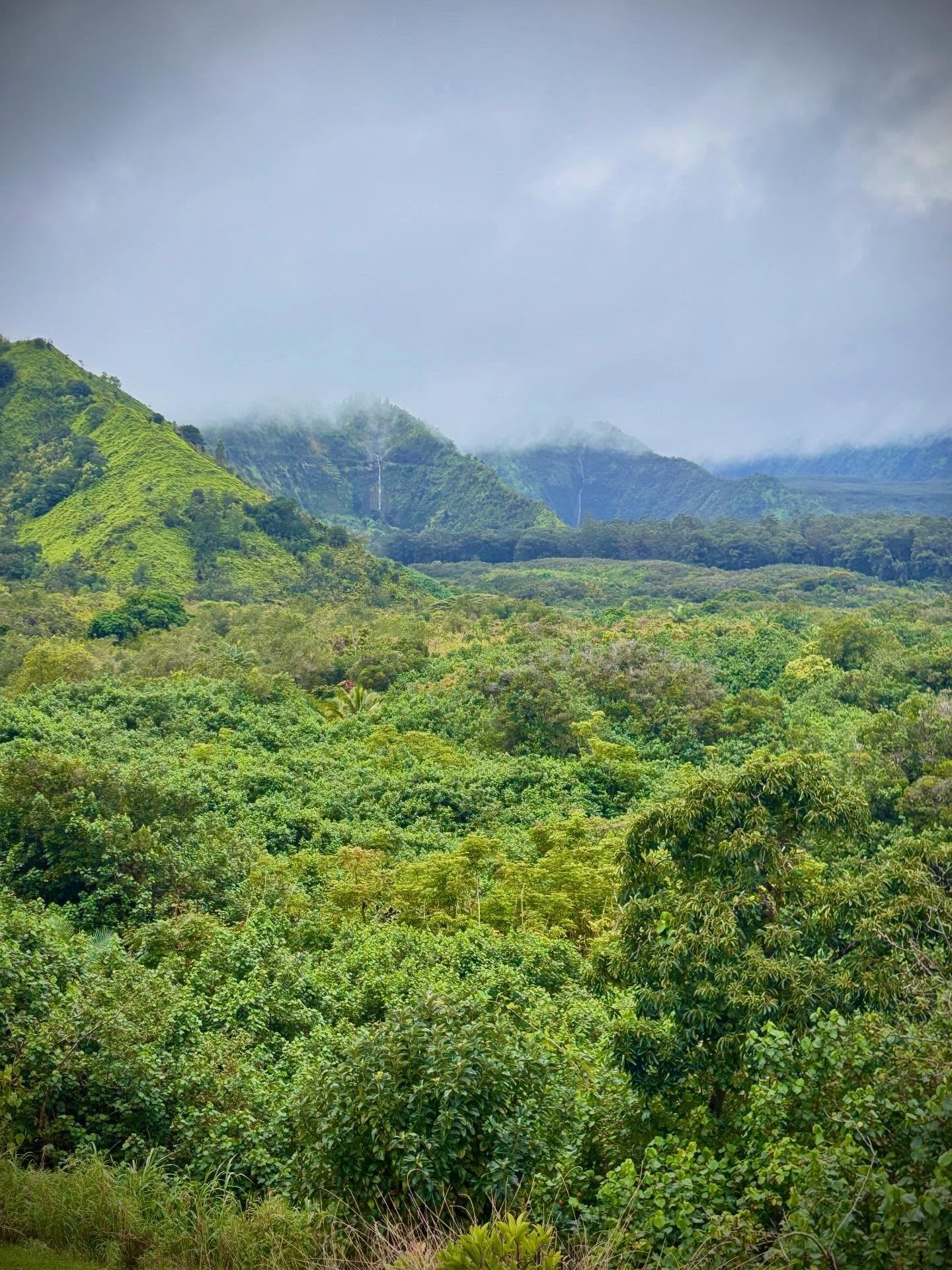 Vista de Road to Hana