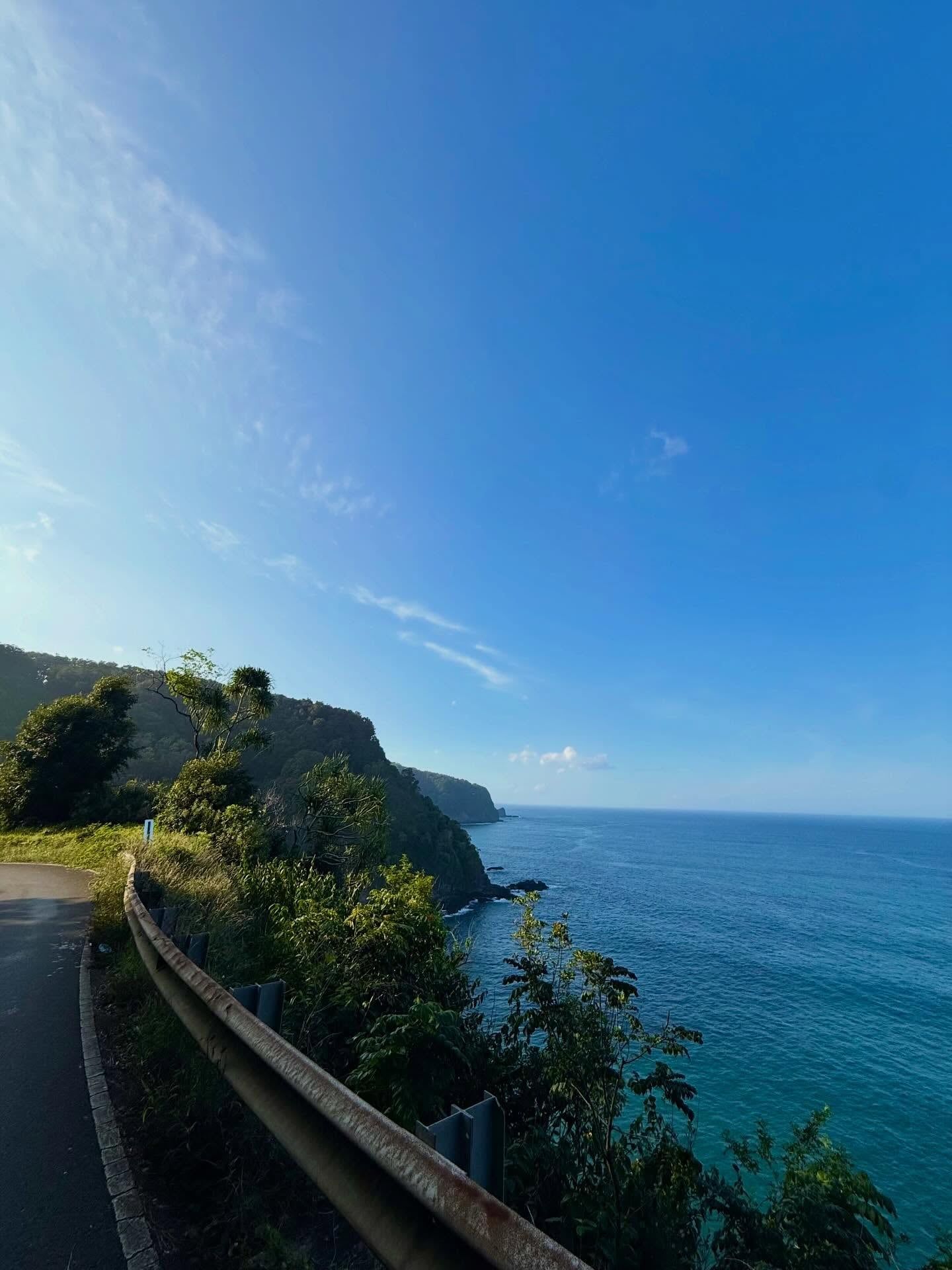 Vista de Road to Hana