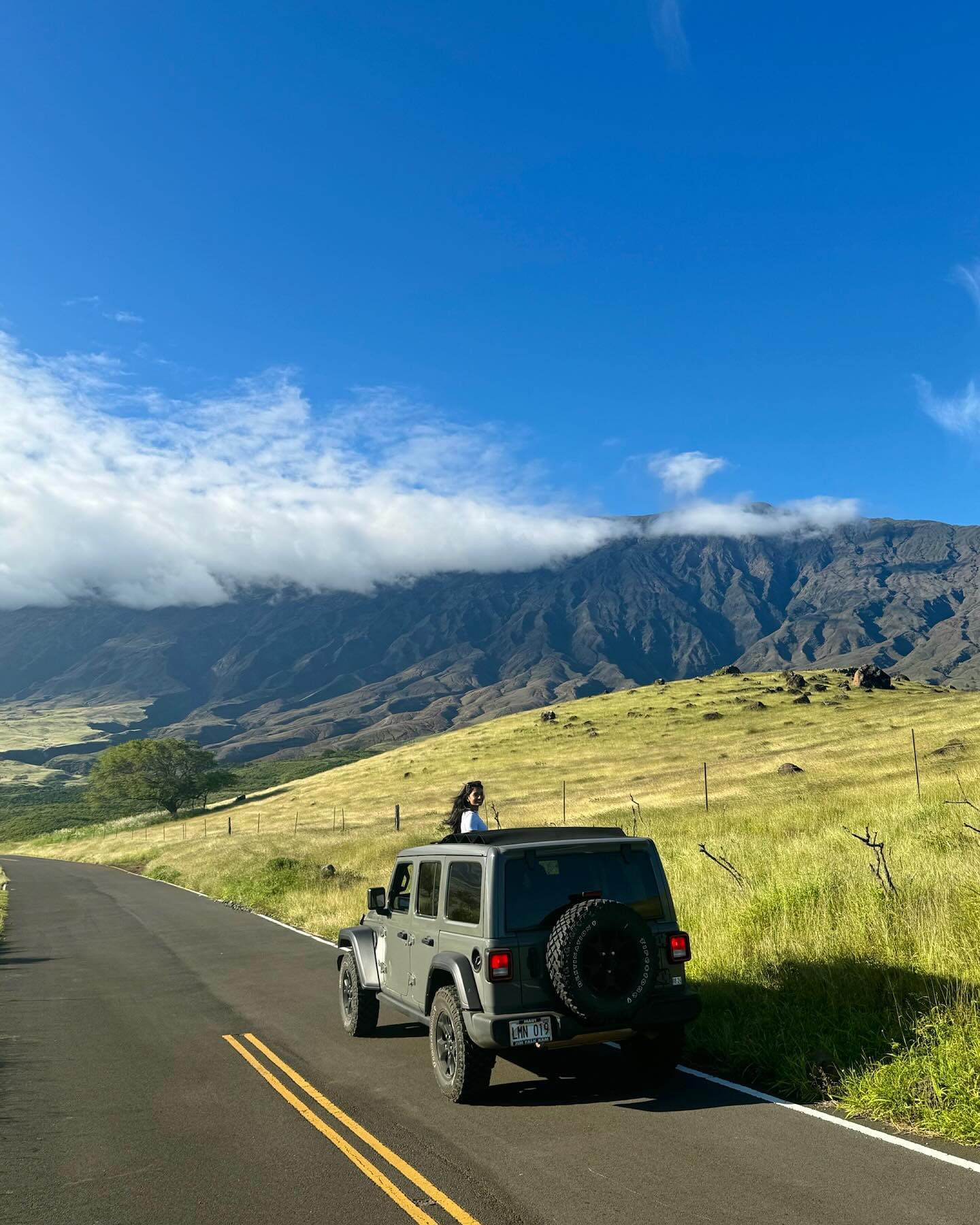Foto di un visitatore del tour di Road to Hana